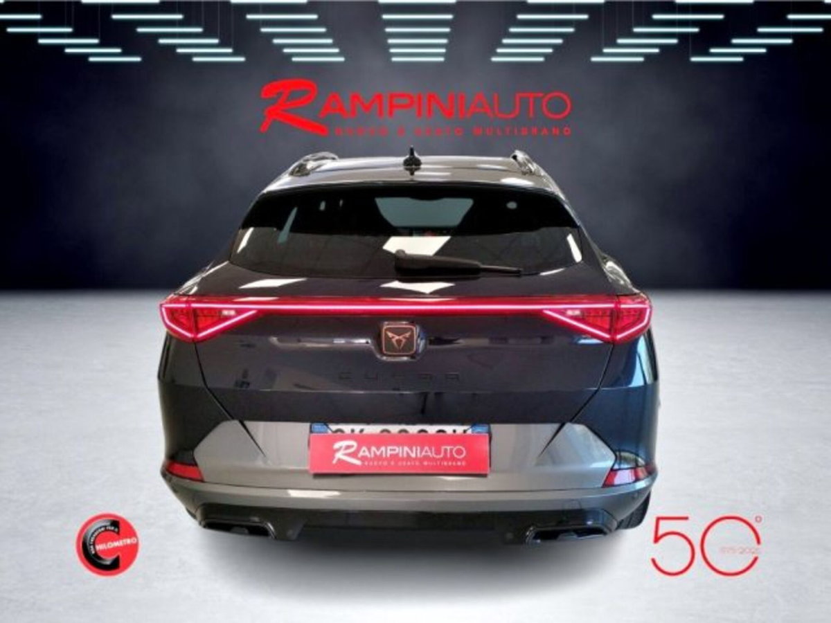 Cupra Formentor Formentor 2.0 TDI (10)
