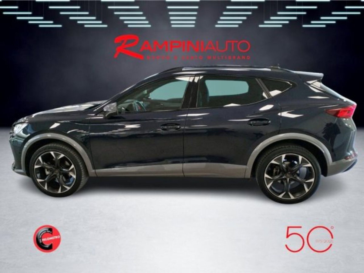 Cupra Formentor Formentor 2.0 TDI (13)