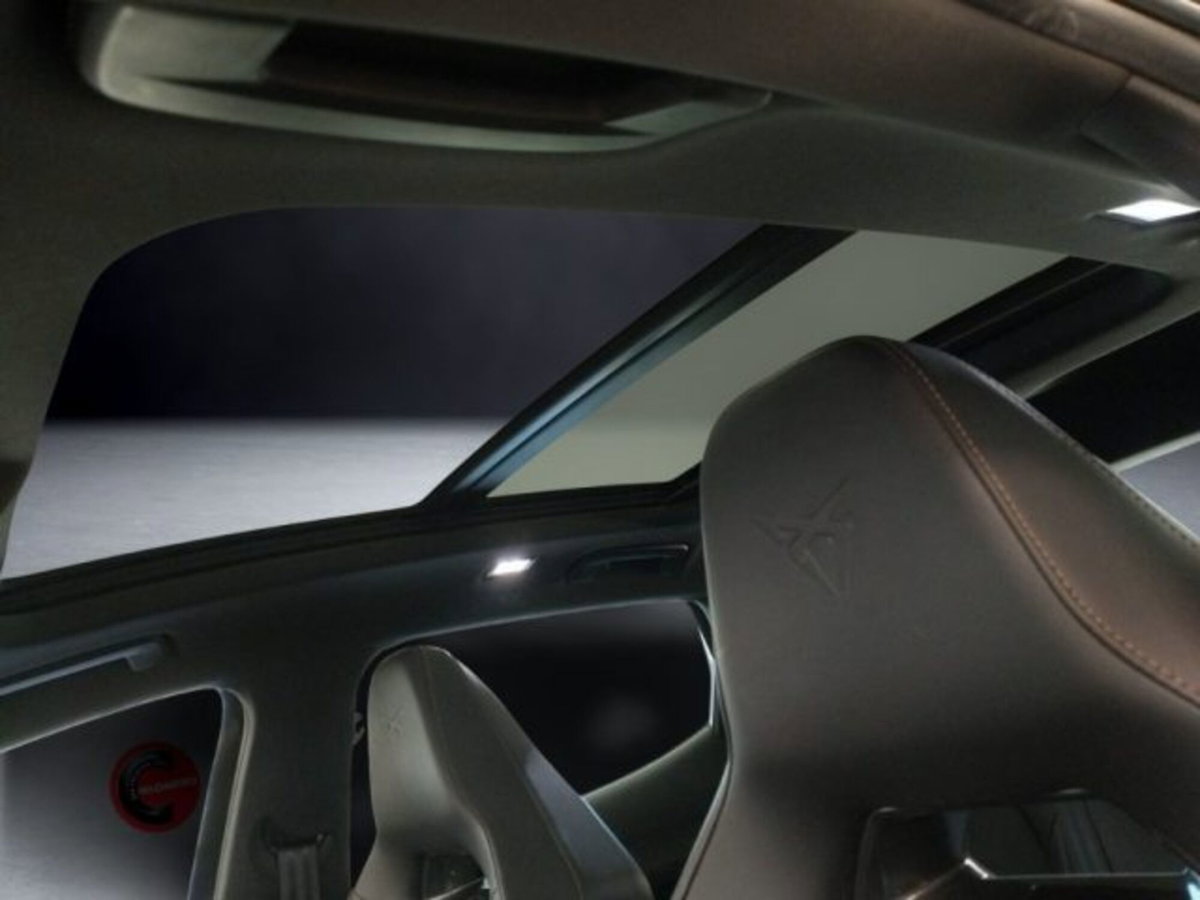 Cupra Formentor Formentor 2.0 TDI (17)