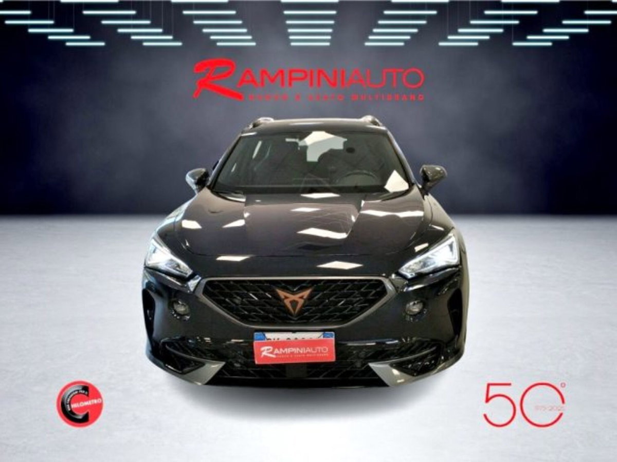 Cupra Formentor Formentor 2.0 TDI (4)