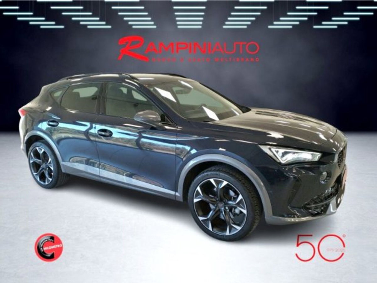 Cupra Formentor Formentor 2.0 TDI (6)
