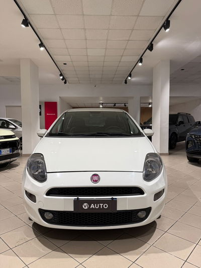 Fiat Punto 1.3 MJT II 75 CV 5 porte Lounge usata