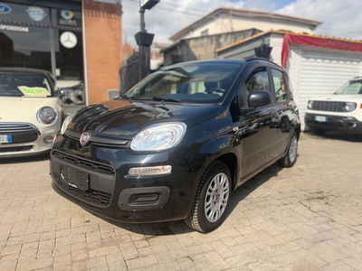 Fiat Panda 1.2 Easy usata