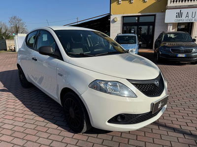 Lancia Ypsilon 1.2 69 CV 5 porte Elefantino Blu usata