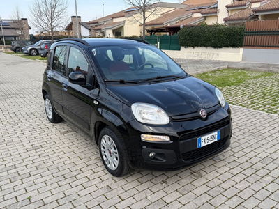 Fiat Panda 1.2 Lounge usata