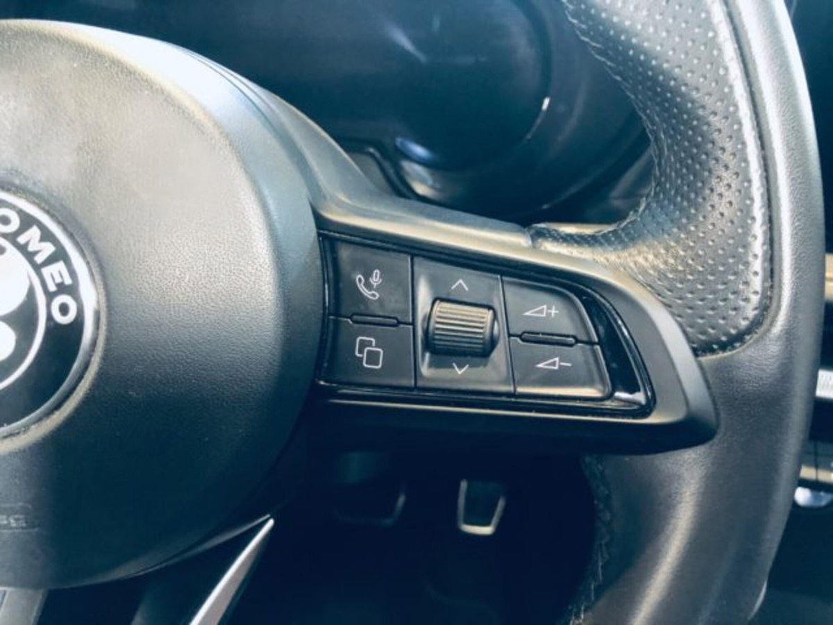 Alfa Romeo Tonale 1.6 Tonale 130cv tct6 (10)