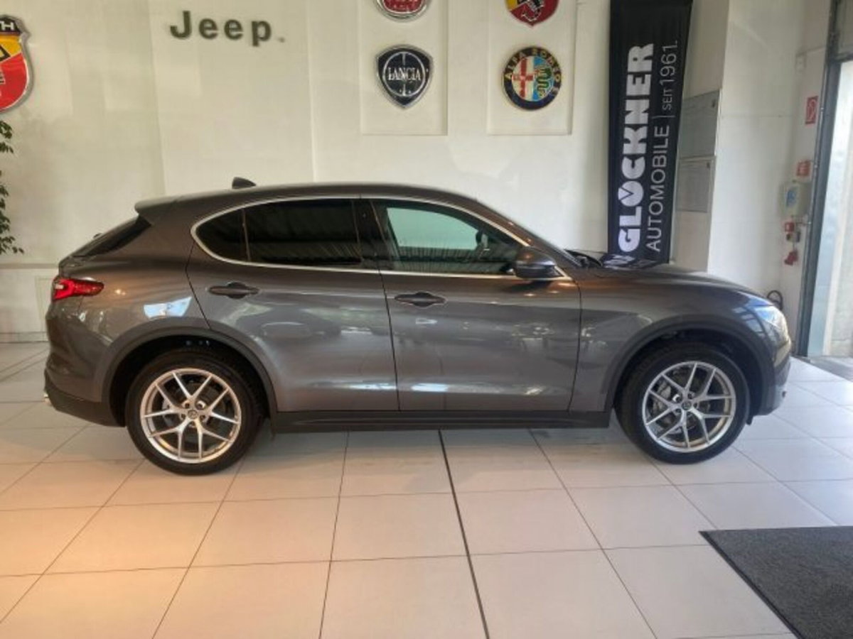 Alfa Romeo Stelvio Stelvio 2.0 Turbo 200 CV AT8 Q4 Super Business (9)