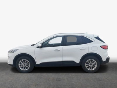 Ford Kuga 2.0 EcoBlue 120 CV aut. 2WD ST-Line X (4)