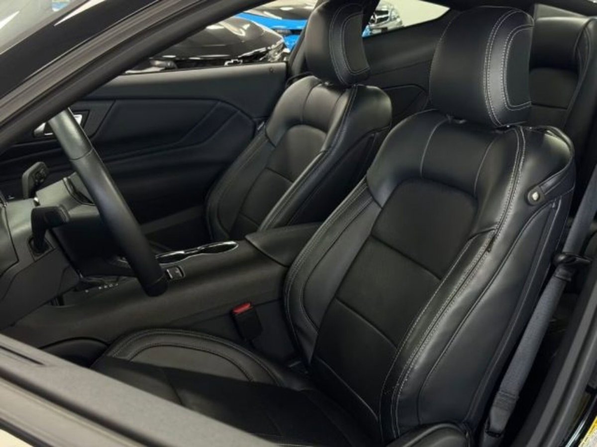 Ford Mustang Coupé Fastback 2.3 EcoBoost (7)