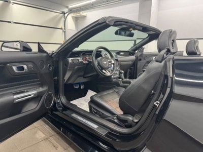 Ford Mustang Cabrio Convertible 2.3 EcoBoost (12)
