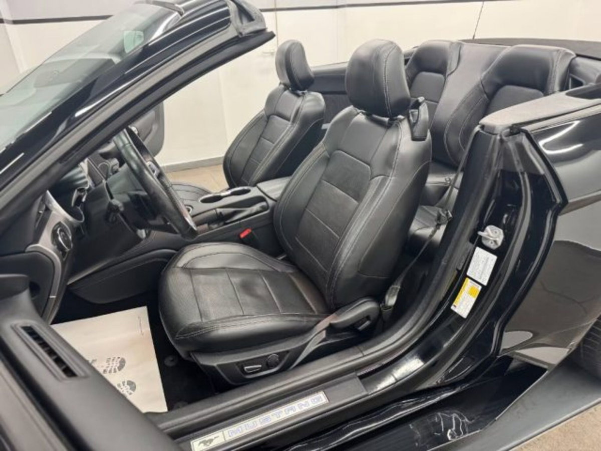Ford Mustang Cabrio Convertible 2.3 EcoBoost (13)
