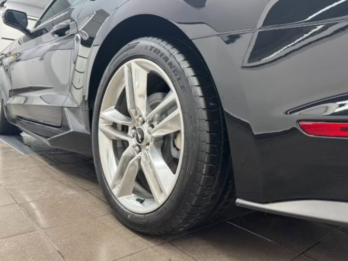 Ford Mustang Cabrio Convertible 2.3 EcoBoost (6)
