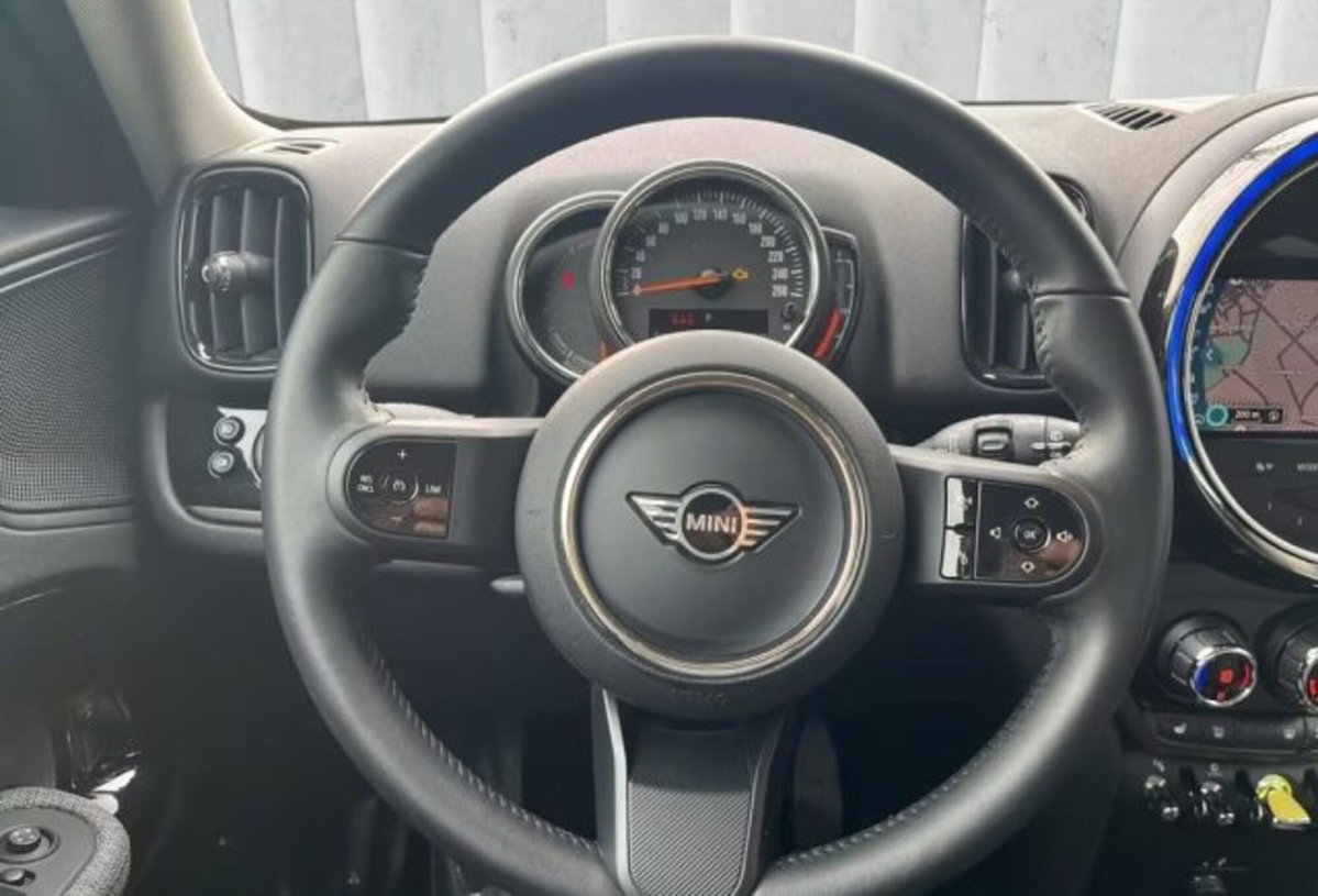 MINI Mini Countryman 1.5 Cooper SE Untamed Edition Countryman ALL4 (6)