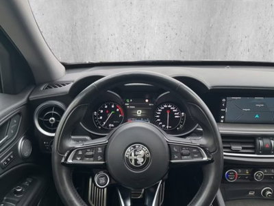 Alfa Romeo Stelvio Stelvio 2.0 Turbo 280 CV AT8 Q4 Ti (13)