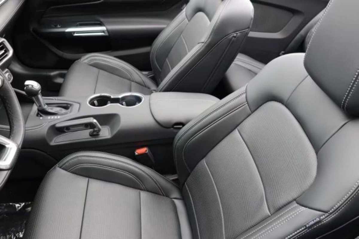 Ford Mustang Cabrio 5.0 V8 GT 446cv auto (9)
