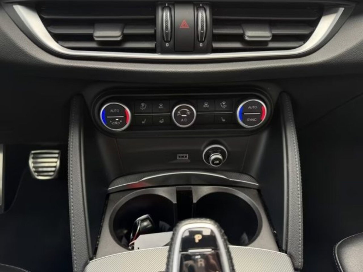 Alfa Romeo Stelvio Stelvio 2.0 Turbo 280 CV AT8 Q4 Veloce (14)