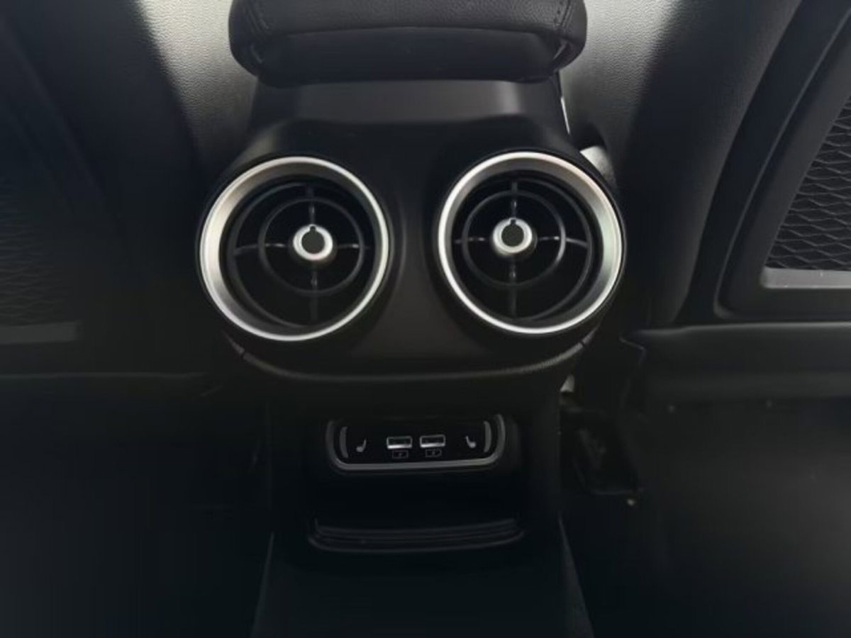 Alfa Romeo Stelvio Stelvio 2.0 Turbo 280 CV AT8 Q4 Veloce (16)