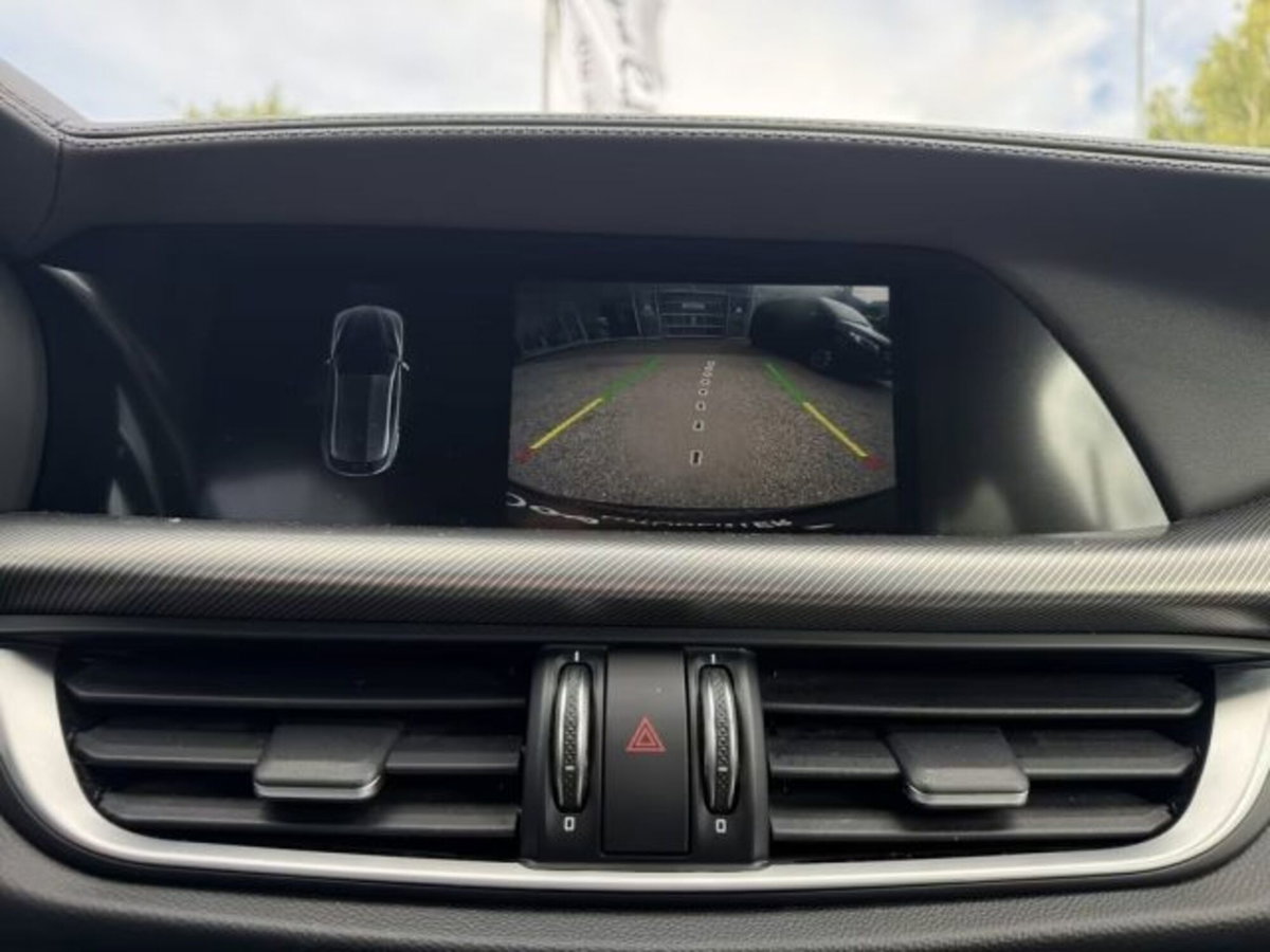 Alfa Romeo Stelvio Stelvio 2.0 Turbo 280 CV AT8 Q4 Veloce (19)