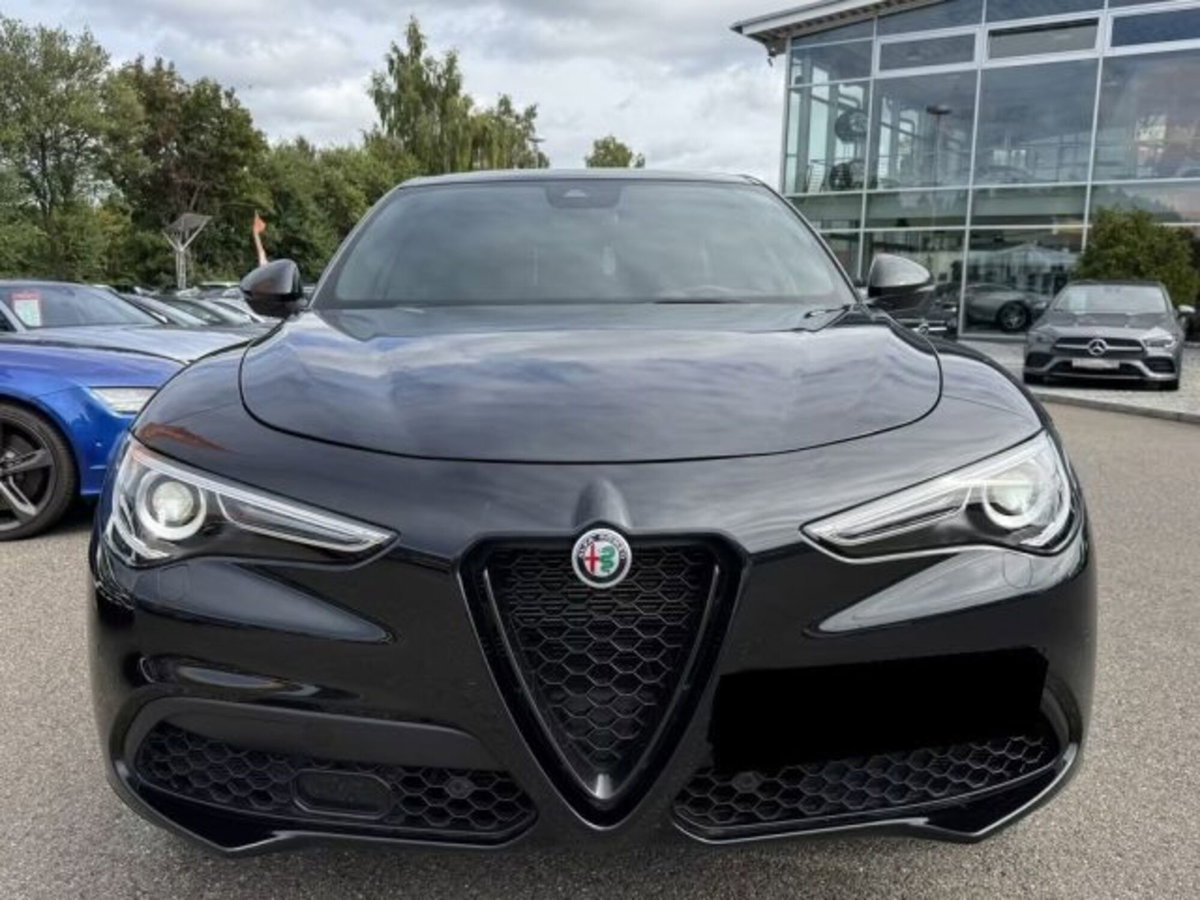 Alfa Romeo Stelvio Stelvio 2.0 Turbo 280 CV AT8 Q4 Veloce (8)