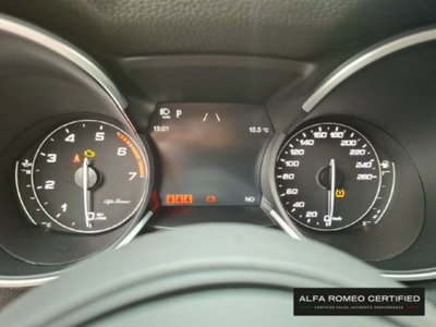 Alfa Romeo Stelvio Stelvio 2.0 Turbo 200 CV AT8 Q4 Super Business (9)
