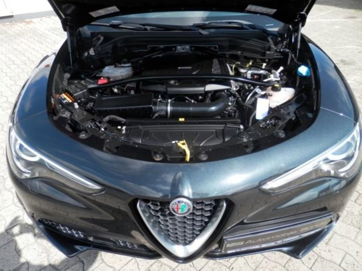 Alfa Romeo Stelvio Stelvio 2.0 Turbo 200 CV AT8 Q4 Super Business (15)