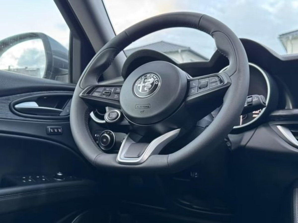 Alfa Romeo Stelvio Stelvio 2.2 Turbodiesel 190 CV AT8 Q4 Super Business (12)