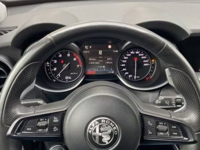 Alfa Romeo Stelvio Stelvio 2.0 Turbo 200 CV AT8 Q4 Sprint (8)