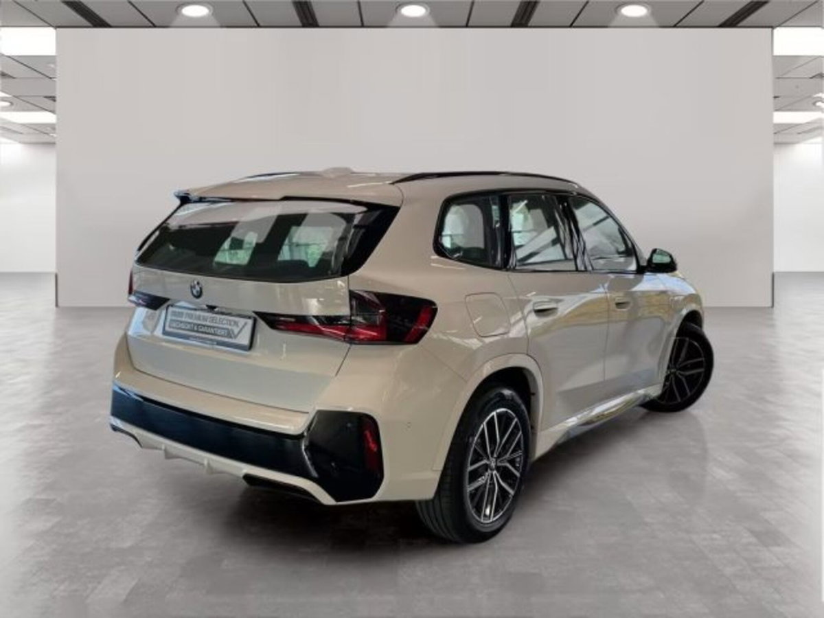 BMW X1 sdrive18d MSport auto (2)