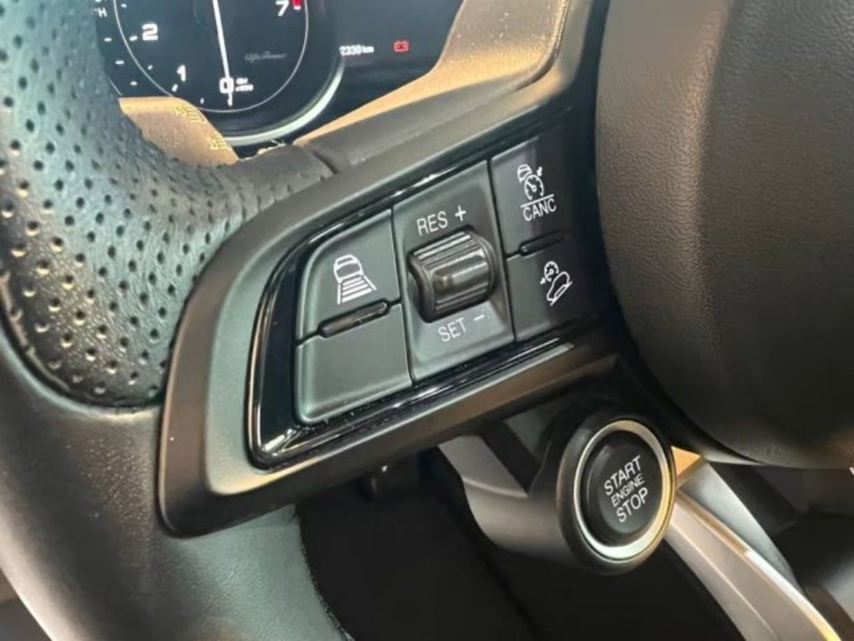 Alfa Romeo Stelvio Stelvio 2.0 Turbo 200 CV AT8 Q4 Super Business (12)
