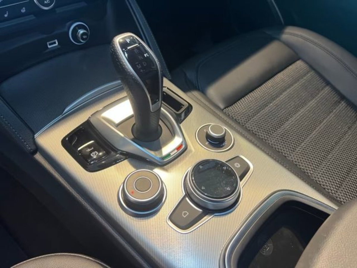 Alfa Romeo Stelvio Stelvio 2.0 Turbo 200 CV AT8 Q4 Super Business (14)