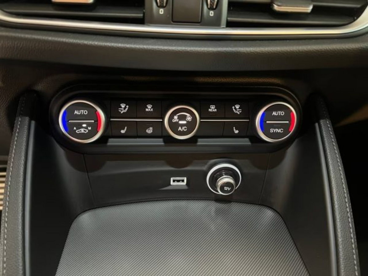 Alfa Romeo Stelvio Stelvio 2.0 Turbo 200 CV AT8 Q4 Super Business (15)
