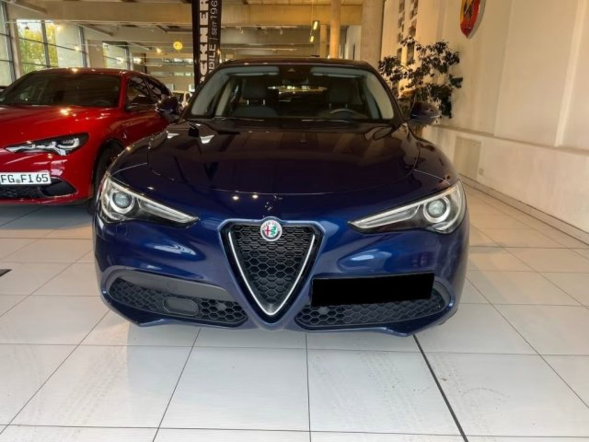 Alfa Romeo Stelvio Stelvio 2.0 Turbo 200 CV AT8 Q4 Super Business (2)