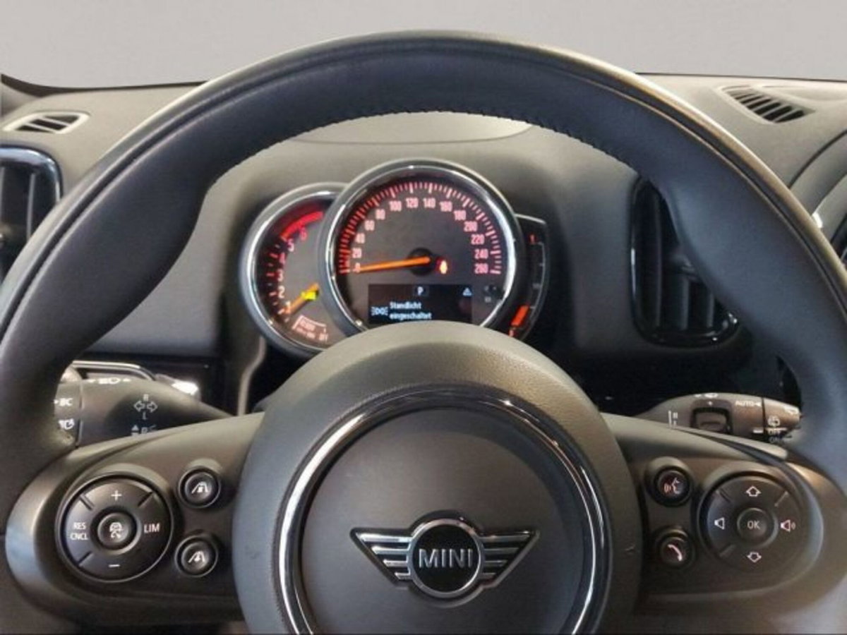 MINI Mini Countryman 2.0 Cooper SD Untamed Edition Countryman ALL4 (10)