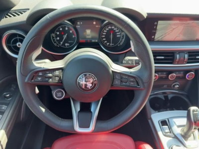 Alfa Romeo Stelvio Stelvio 2.0 Turbo 200 CV AT8 Q4 Sprint (9)