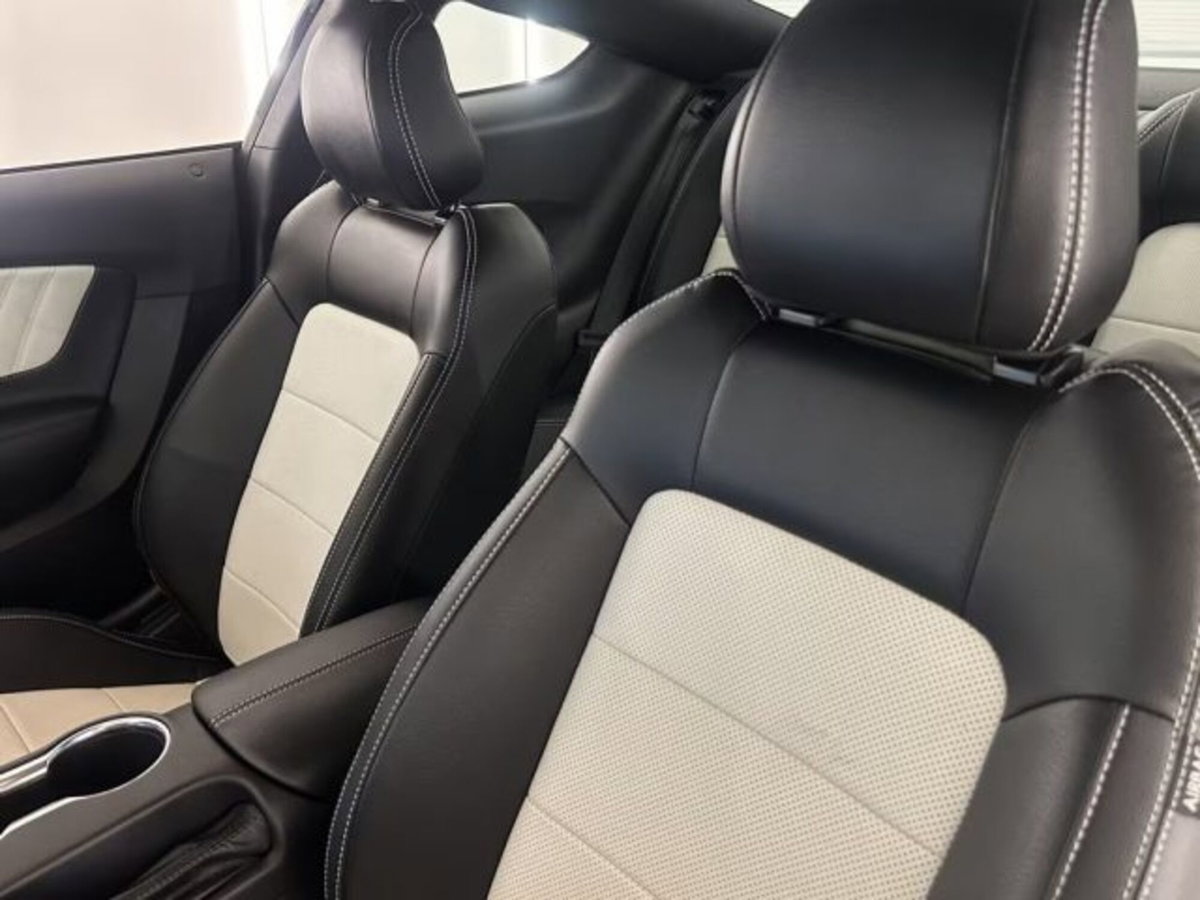 Ford Mustang Coupé Fastback 2.3 EcoBoost (8)