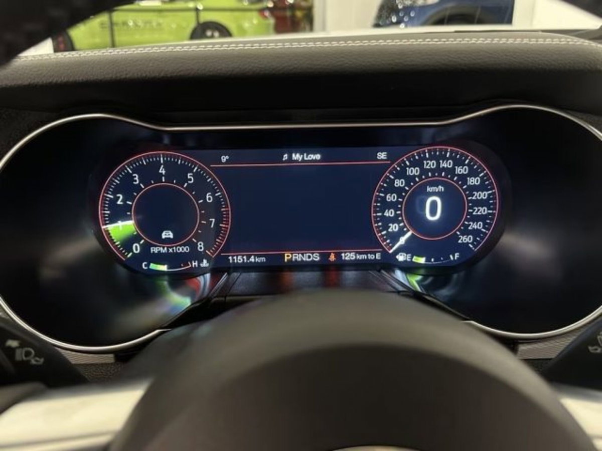 Ford Mustang Coupé Fastback 2.3 EcoBoost (11)