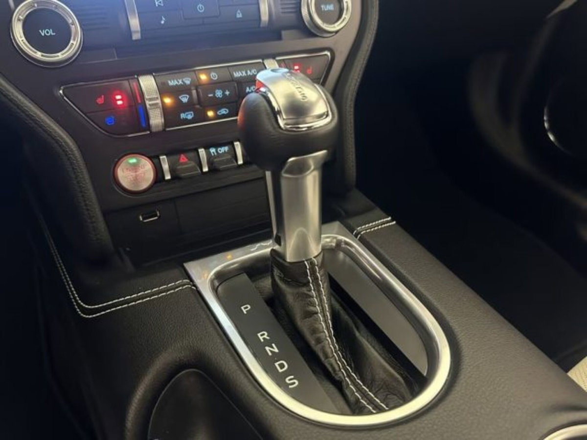 Ford Mustang Coupé Fastback 2.3 EcoBoost (14)