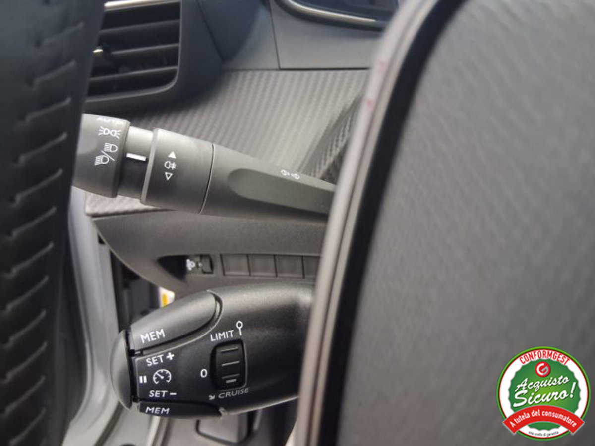 Peugeot 2008 PureTech 100 S&S Allure (13)