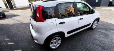 Fiat Panda 1.0 firefly hybrid s&s 70cv 5p.ti (17)