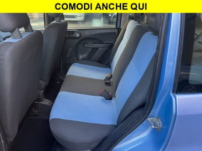 Fiat Panda 1.2 4x4 (8)