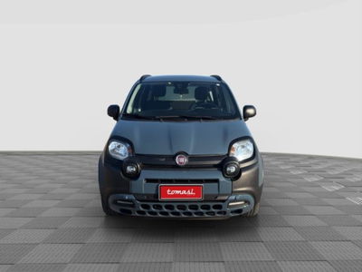 Fiat Panda 1.0 FireFly S&S Hybrid City Cross usata