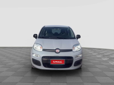 Fiat Panda Cross Cross 1.0 FireFly S&S Hybrid usata