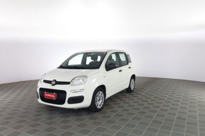 Fiat Panda Cross Cross 1.0 FireFly S&S Hybrid usata
