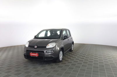 Fiat Panda 1.0 firefly hybrid Pop s&s 70cv usata