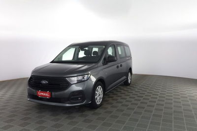 Ford Tourneo Connect 2.0 EcoBlue 102 CV Plus usata