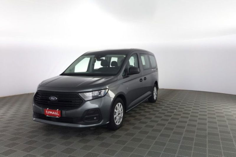 Ford Tourneo Connect 2.0 EcoBlue 102 CV Plus