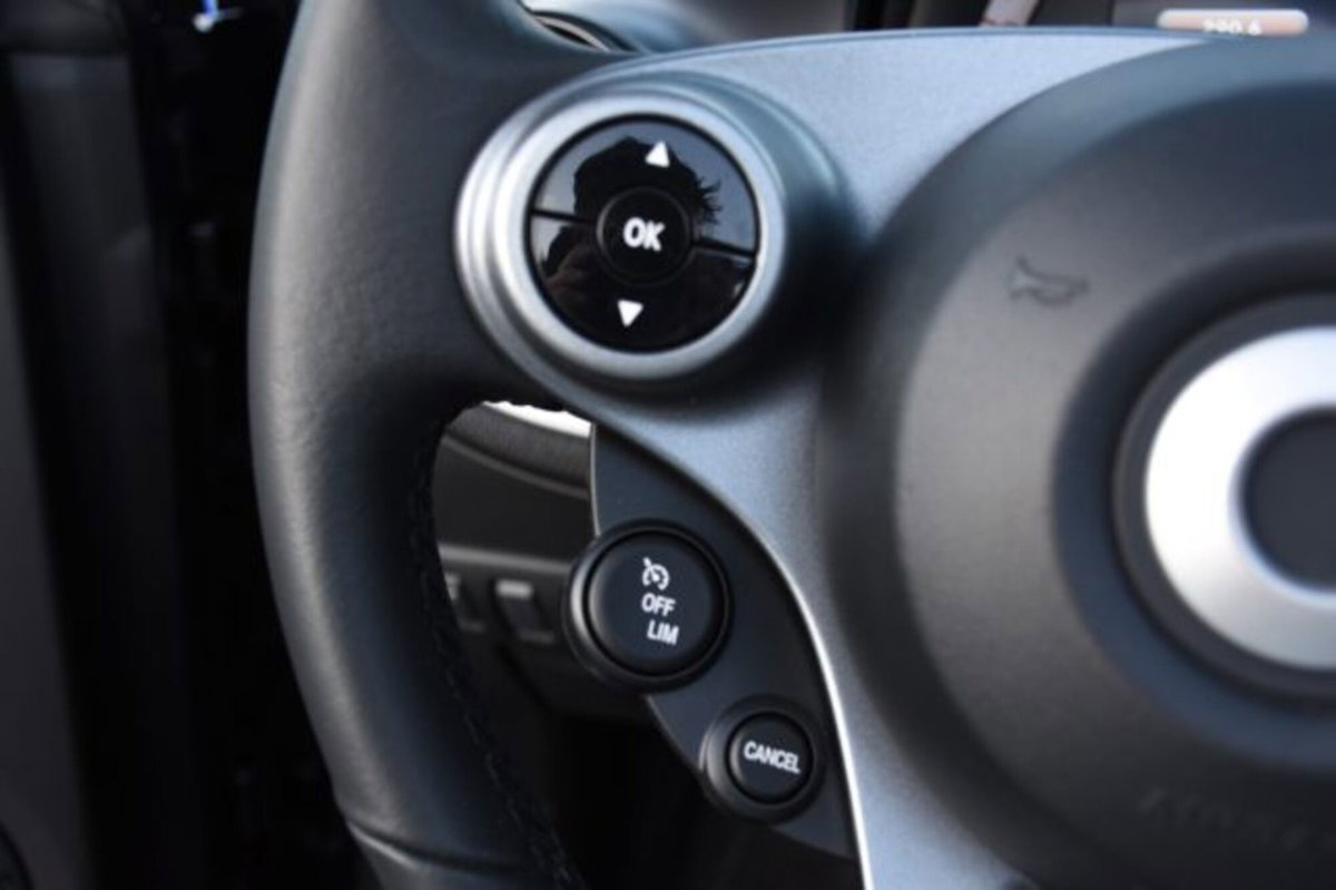 smart Fortwo Cabrio EQ cabrio Passion (20)