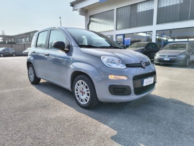 Fiat Panda 1.0 firefly hybrid s&s 70cv 5p.ti (3)