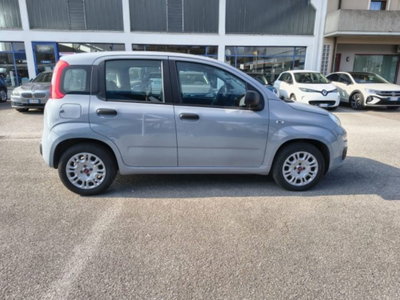 Fiat Panda 1.0 firefly hybrid s&s 70cv 5p.ti (4)