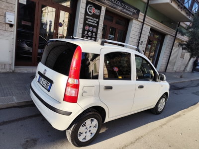 Fiat Panda 1.2 (5)